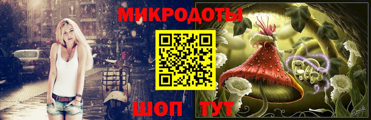 Псилоцибиновые грибы Psilocybine cubensis Урюпинск